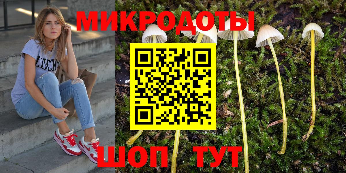 Галлюциногенные грибы Psilocybine cubensis Родники